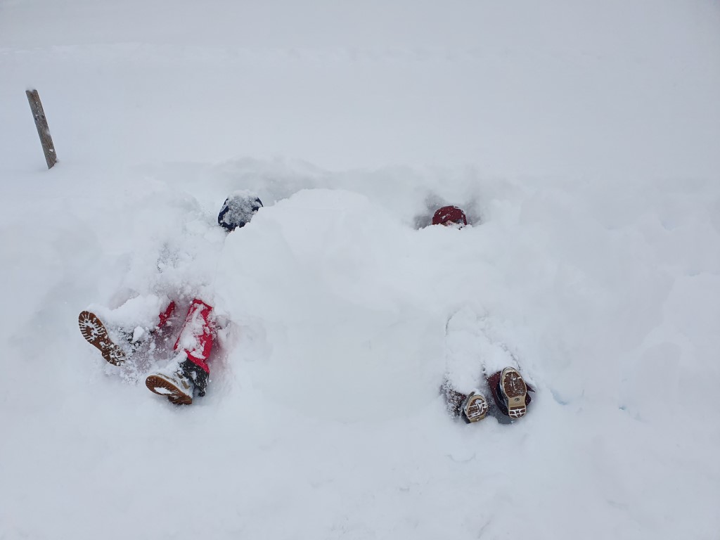 Schneebombe_Mitte_Jan21 (9).jpg