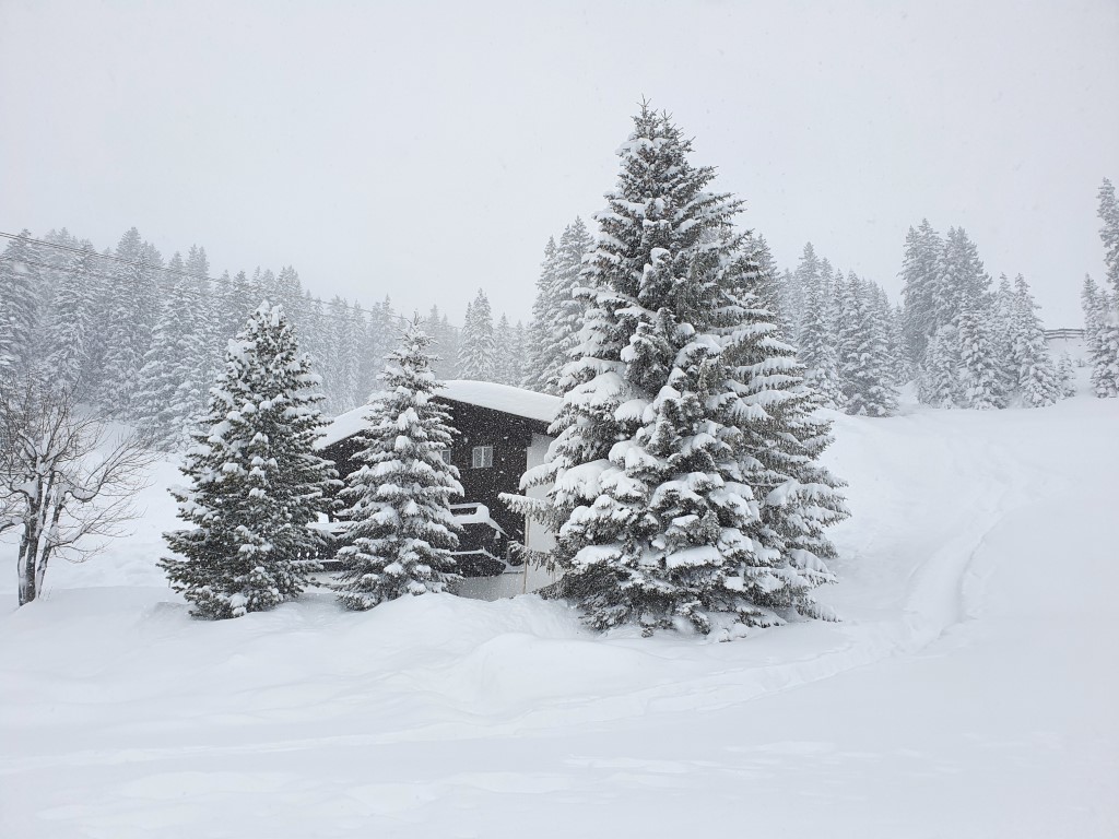 Schneebombe_Mitte_Jan21 (10).jpg