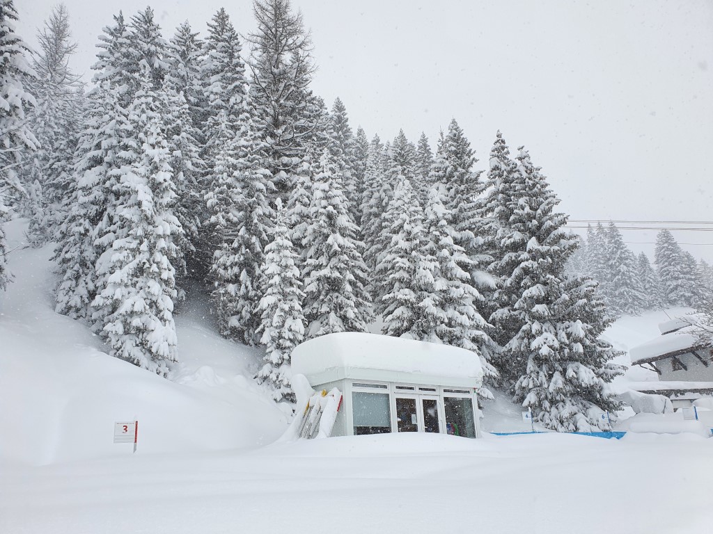 Schneebombe_Mitte_Jan21 (11).jpg