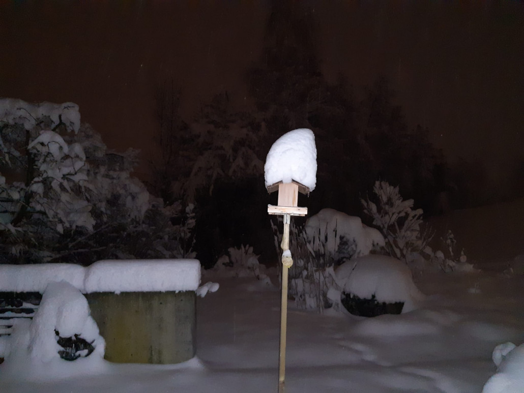 WhatsApp Image 2021-01-15 at 08.56.13 (1).jpeg