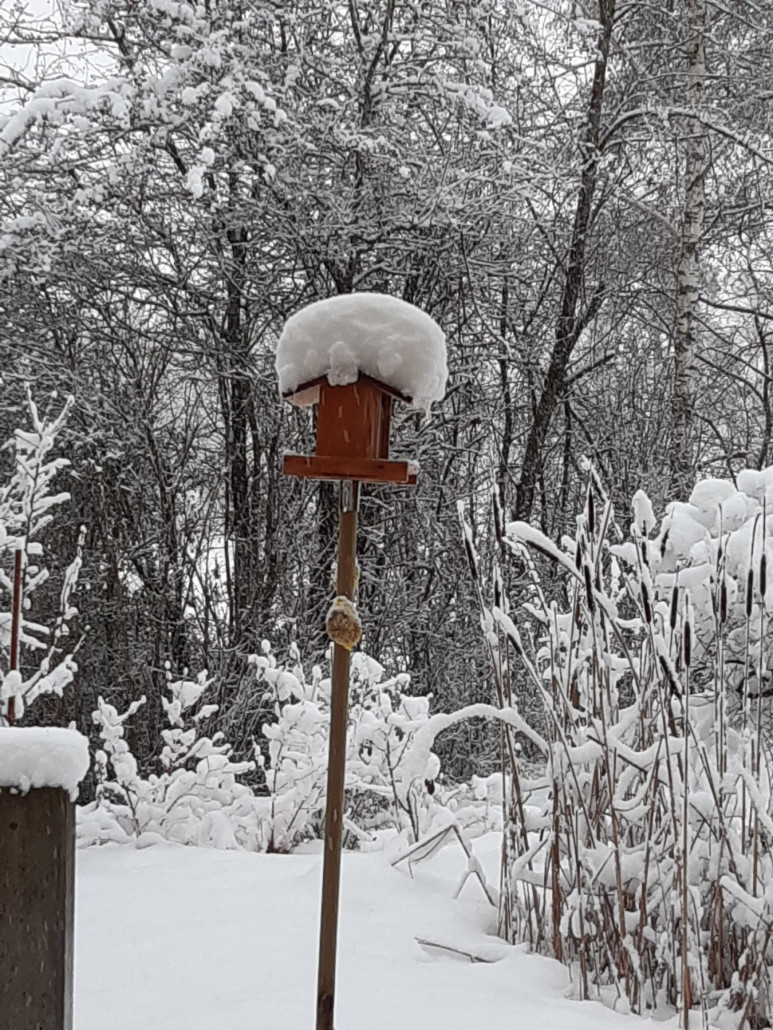 WhatsApp Image 2021-01-14 at 15.50.09.jpeg