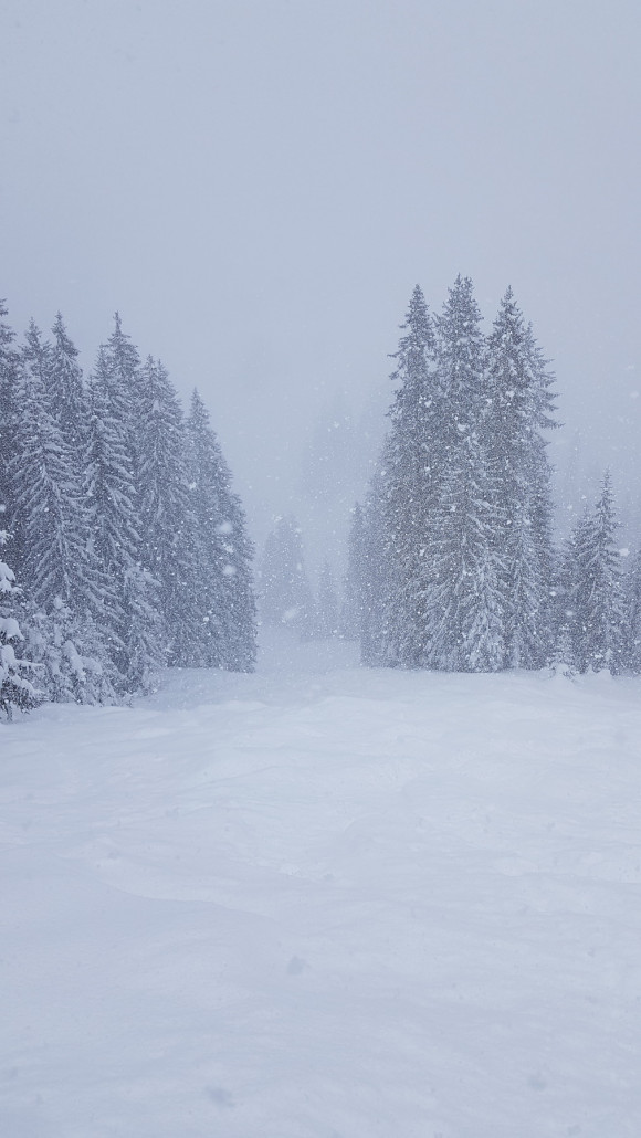 Unterer Teil Skiroute 1. Ebenfalls sehr tiefer Schnee. Nicht jeder Buckel war auch wirklich einer, sondern nur ein hoher Tiefschneehaufen. Sehr spaßig