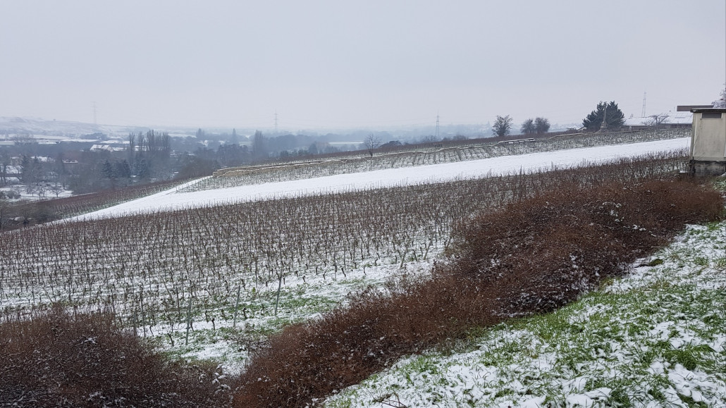 Nonnberg und König-Wilhelms-Berg