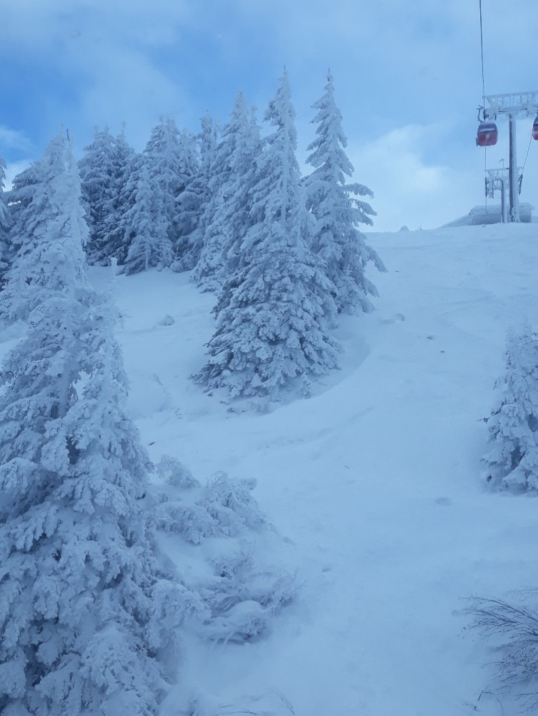 Hohe Salve, Nordseite