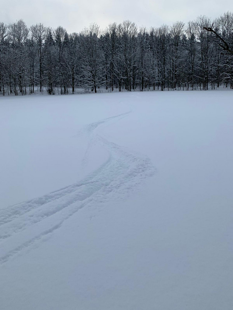 Ich bin nicht direkt an der Sl Talstation vorbei, sondern über die Felder etwas Richtung Geyersdorf gefahren.