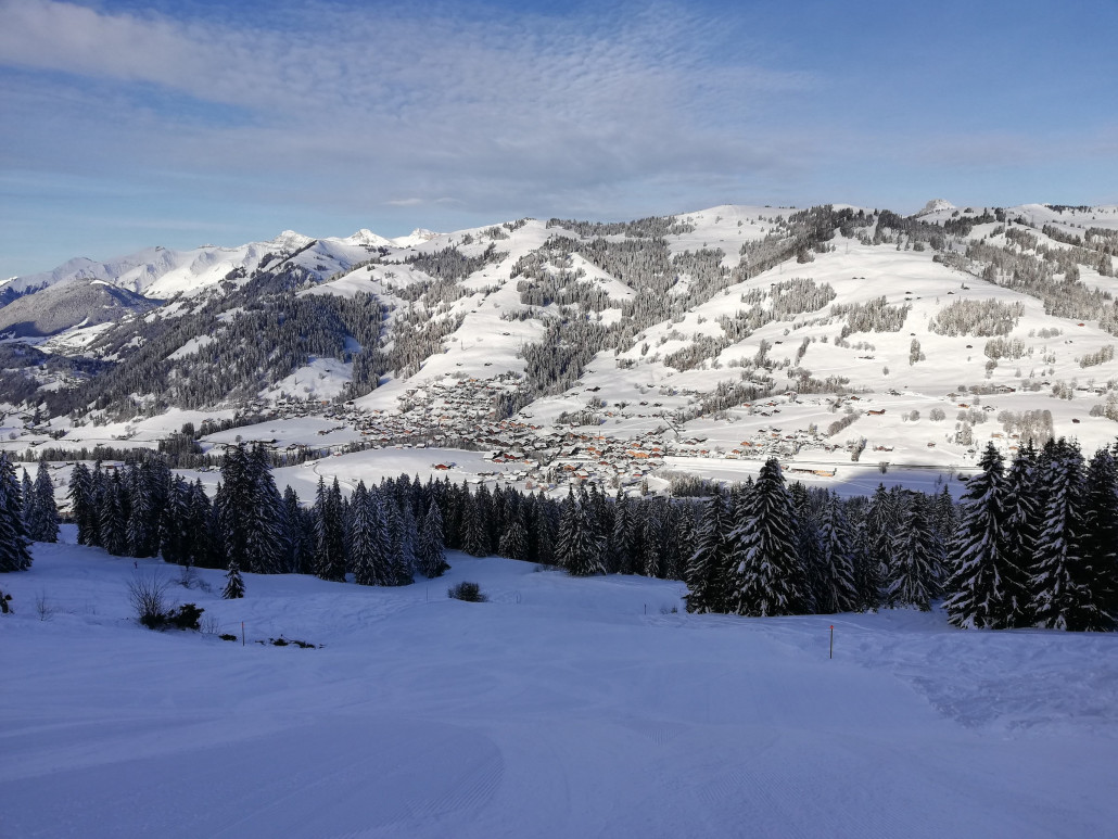 Schwarze 35 am Horneggli schon offen, so früh wie noch nie. Und sooooo schöööööön.