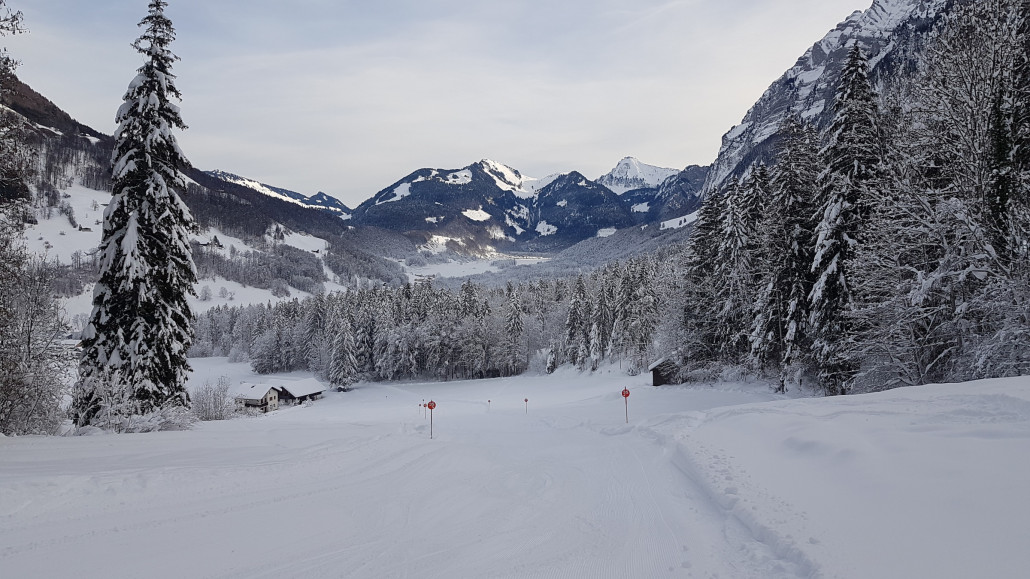 Gut eingeschneite Talabfahrt nach Mellau
