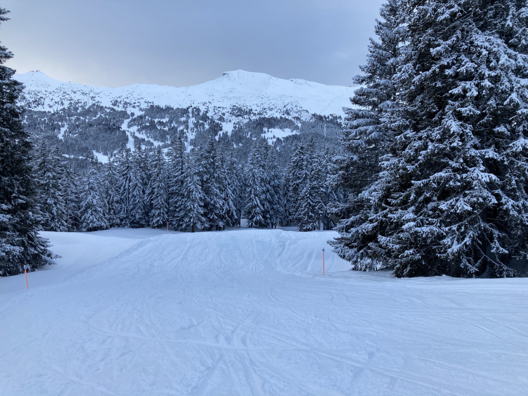 Talabfahrt durch verschneite Wälder