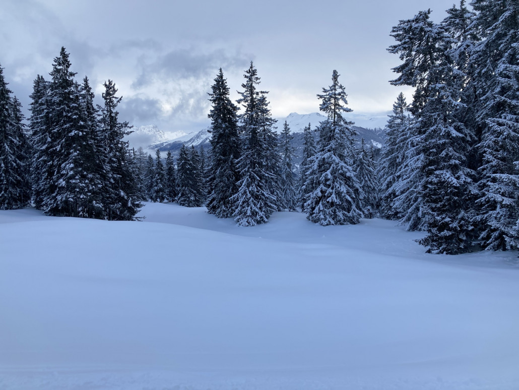 Seitenblick oberhalb des Restaurants Crest'ota