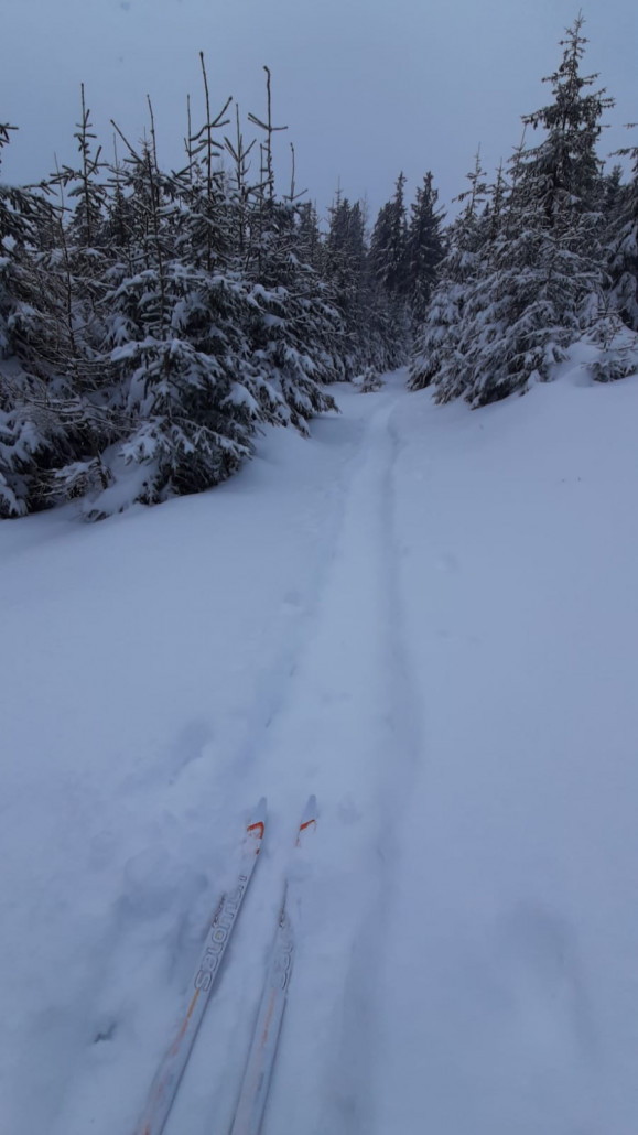 Image 2021-01-25 at 10.40.53.jpeg