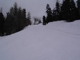 Piste Tsapé. Schöne Waldpiste.