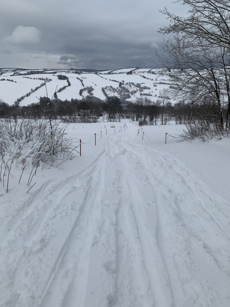Hier besagte Stelle, wo man auf dem Weg fährt, 3 Baumreihen passiert &amp; dann nach rechts abbiegt.