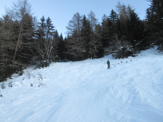 schon etwas verwachsen (ca. 1.480 m)