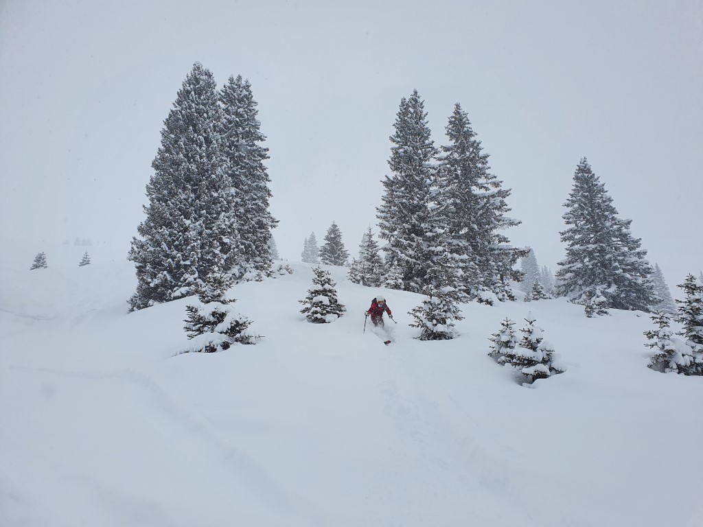 Powder_Oberlech_2601_LZTG_by_Markus_Hahn (5).jpg