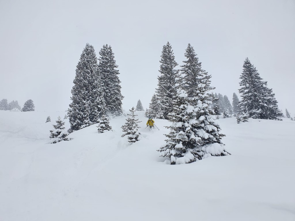 Powder_Oberlech_2601_LZTG_by_Markus_Hahn (14).jpg