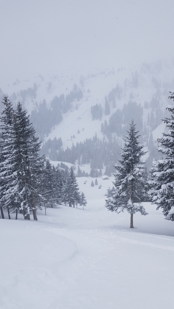 Heute: wieder ein genialer Powdertag