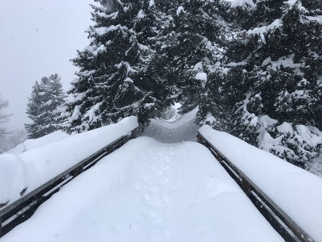 Rückweg nach Randolins