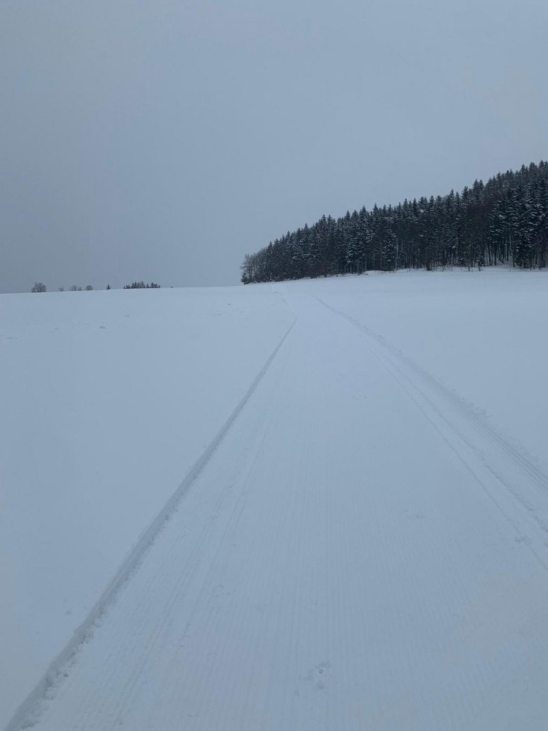 Aufstieg auf sehr steiler Skating Loipe; für klassisch wärs eh zu steil. Anschließend weiter nach oben über die blaue Abfahrt.