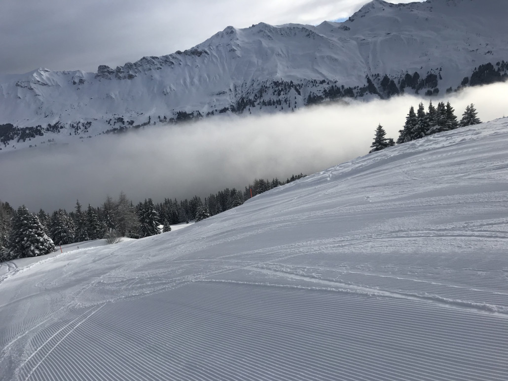 2021-01-31 09.11.29.jpg