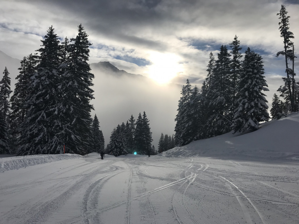 2021-01-31 09.12.19.jpg