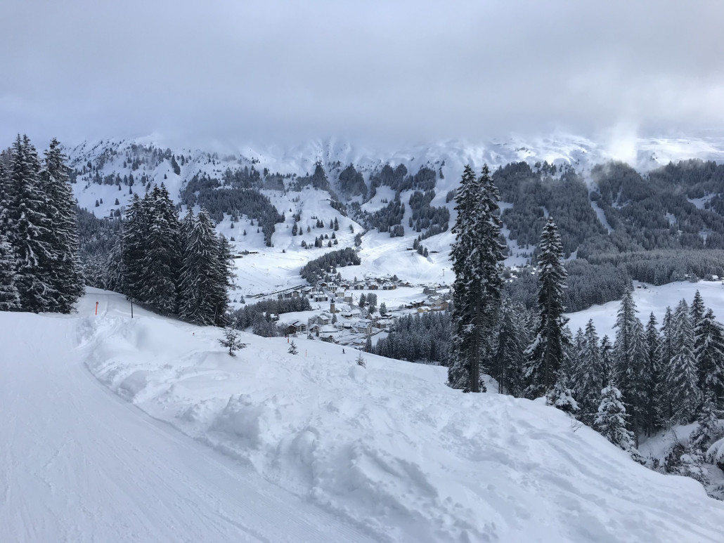 2021-01-31 11.08.02.jpg