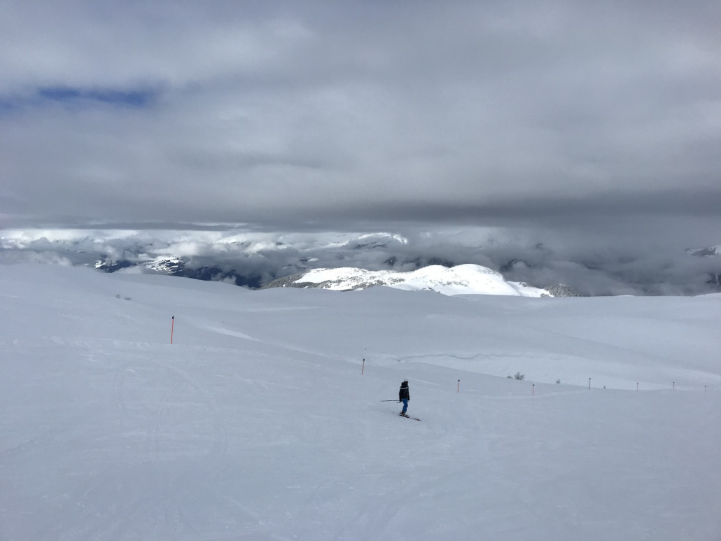 2021-01-31 11.46.53.jpg