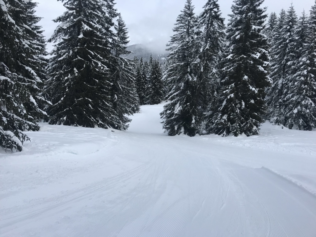 2021-01-31 13.02.42.jpg