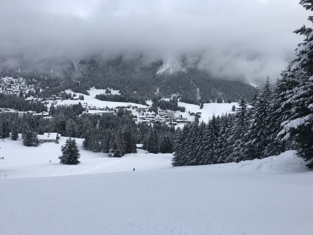 2021-01-31 13.03.15.jpg