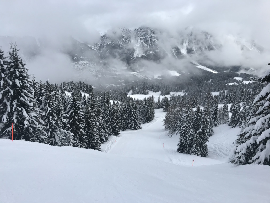 2021-01-31 14.16.37.jpg