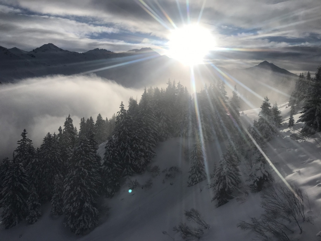 2021-01-31 09.07.57.jpg