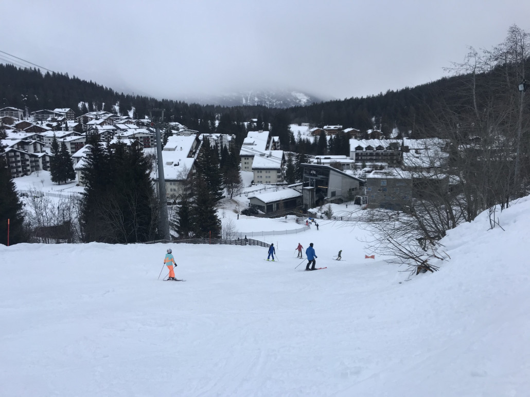 2021-02-01 15.15.16.jpg