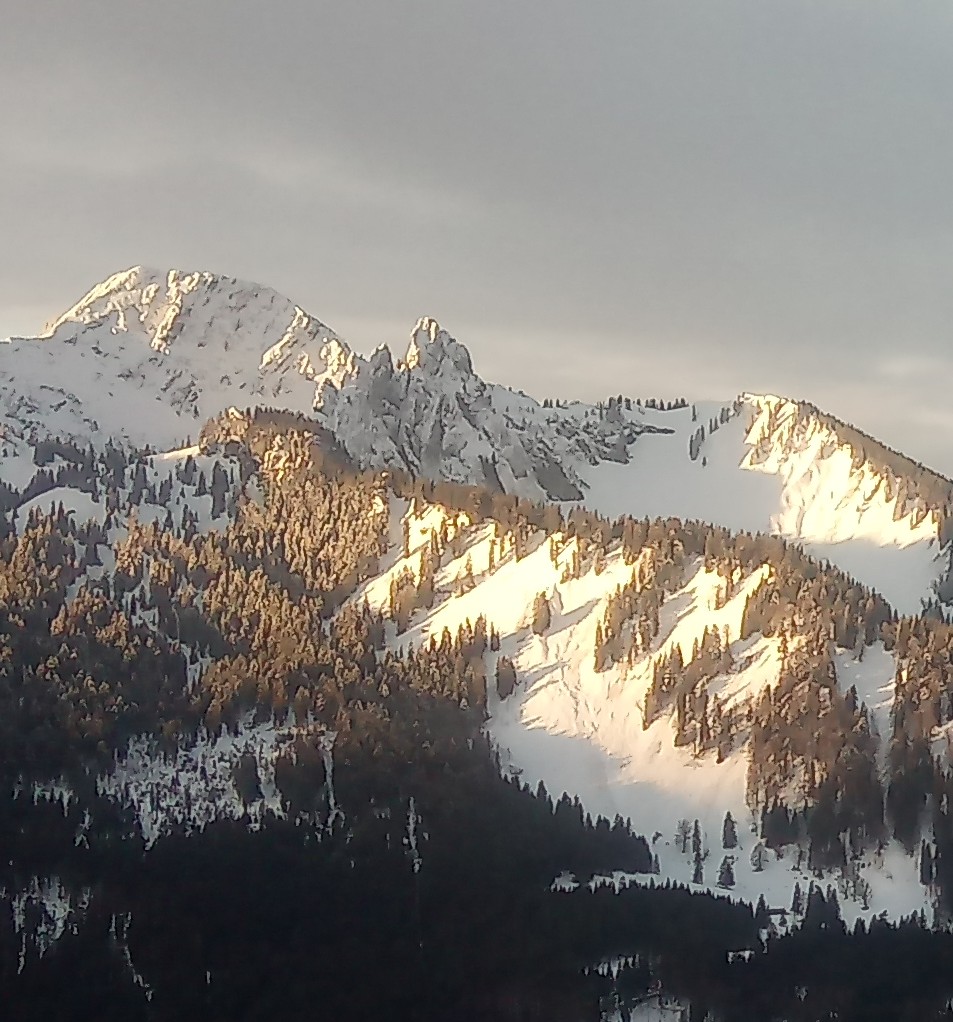 ⛷️⛷️⛷️⛷️