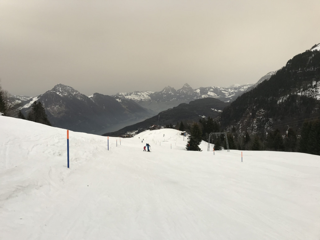 Herti hat dem Regen gut standgehalten