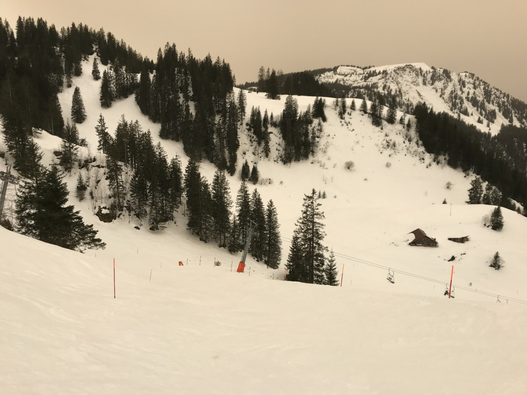 Klewenstock leicht sulzig