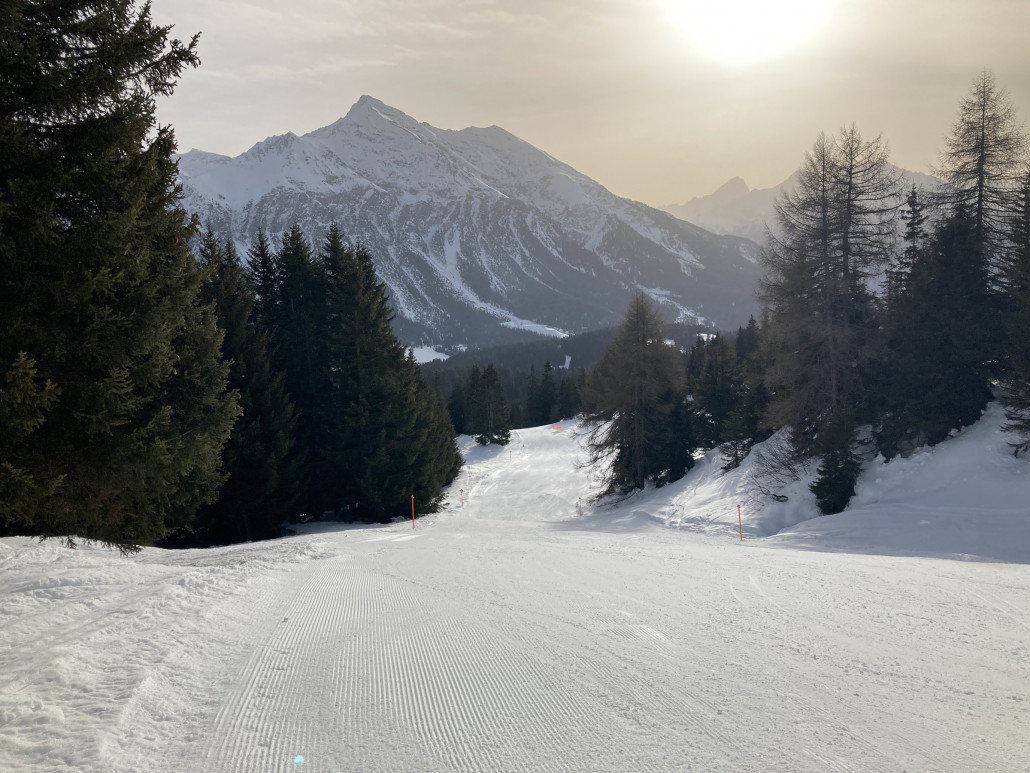43. Netter Verlauf im Wald