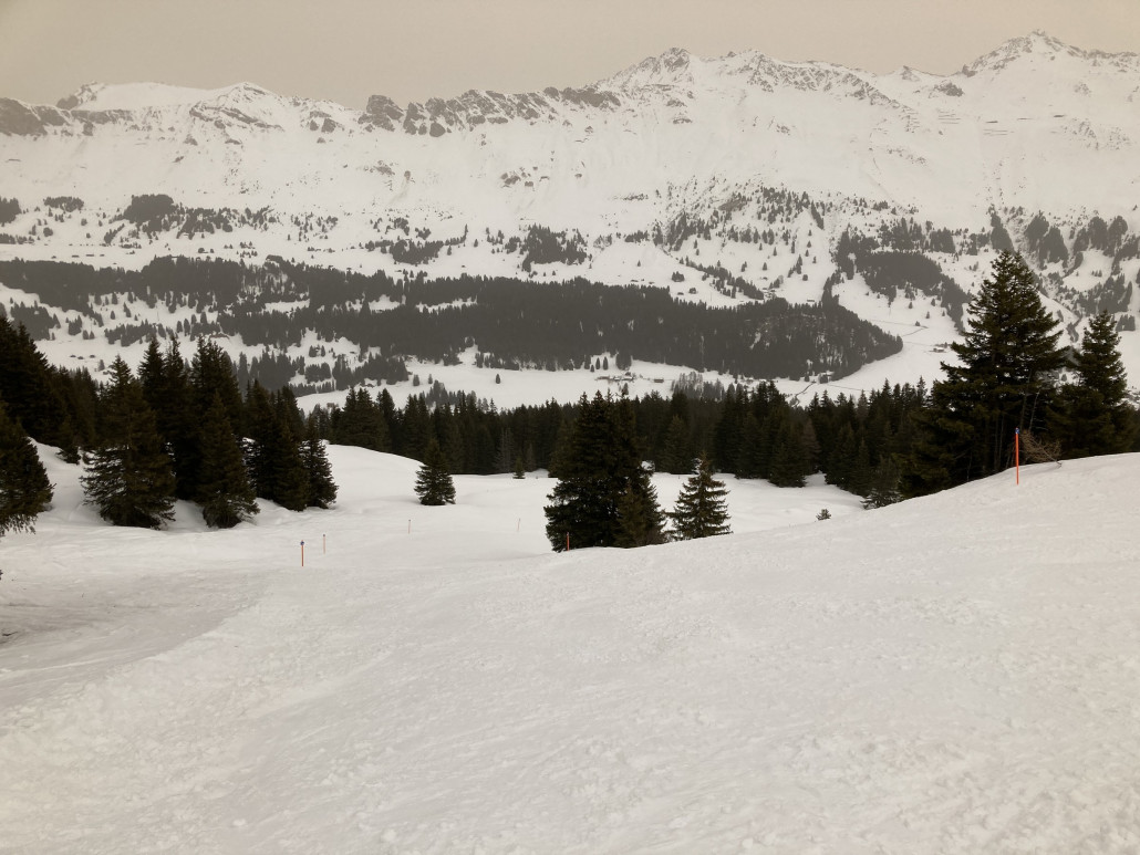 73a. Eine weitere Erstbefahrung diese Saison: Die Familienpiste Heidbüehl - Stätzertäli.