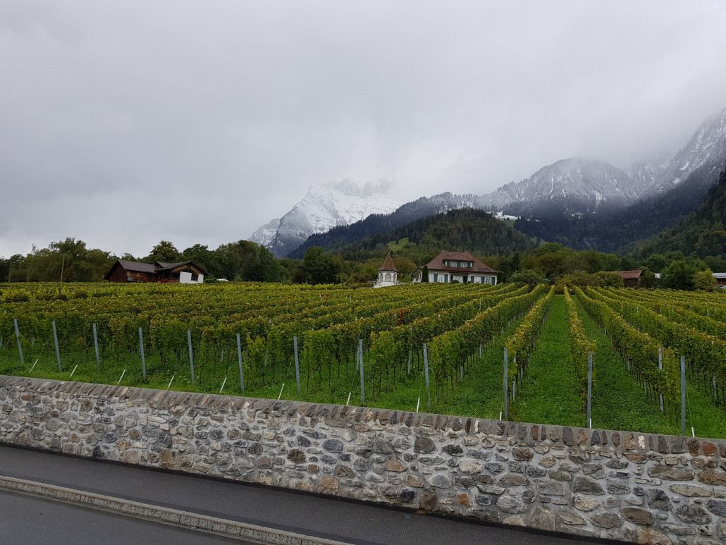 Jenins - Oben Winter, unten Weinlese - 26.09.2020