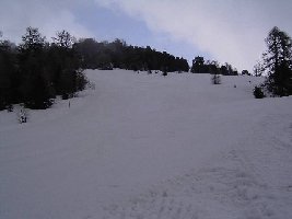 Die rote Piste des SCHL &amp;quot;Forêt&amp;quot;.
