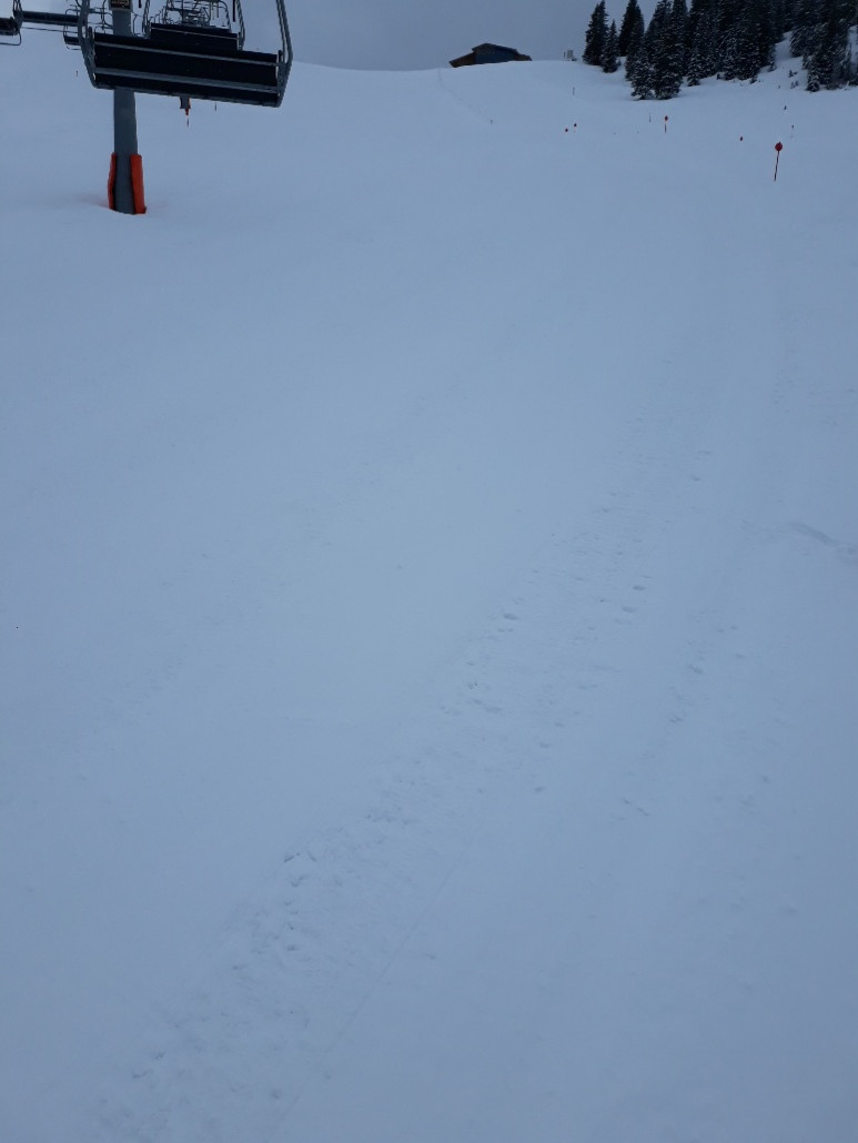 Talkaser: hier waren vereinzelt kleine Knollen zu finden