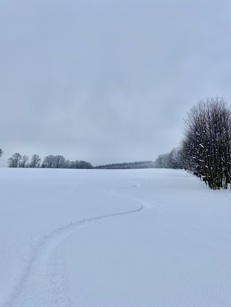 Außer mir war nur (Tags zuvor) ein Skifahrer an diesem Hang