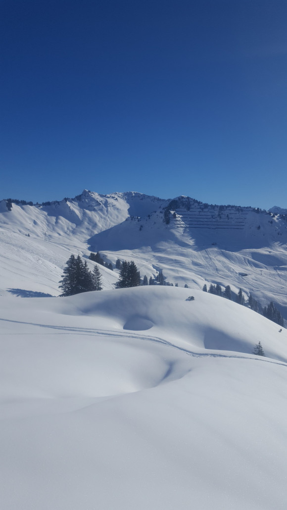 Blick richtung Breitenalp