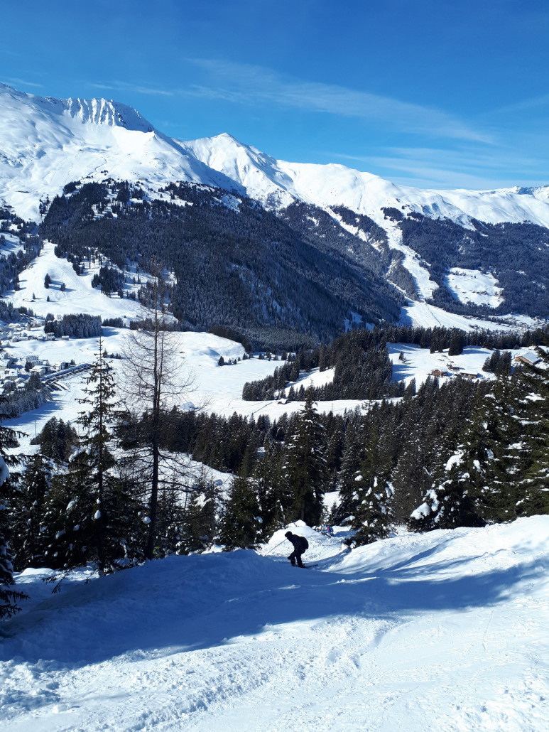 Durch ein enges Waldstück