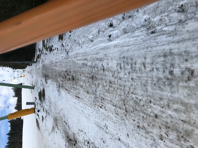 Geht noch grade so, leider auch Steine und nicht nur Gras. An den Geländeübergängen war es noch schlimmer.