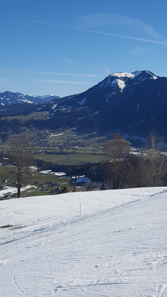 Blick ins grüne tal.. im hintergrund andelsbucher talabfahrt