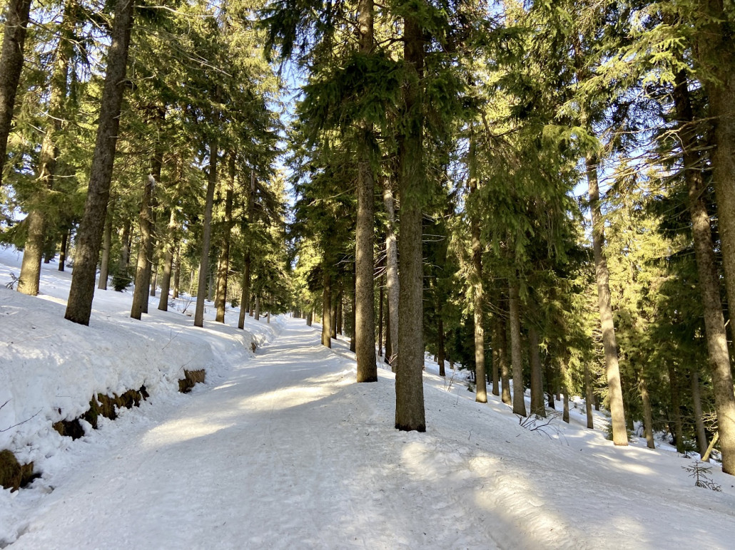 Viel Ruhe hier und eine angenehm leichte letzte Episode, das schonte meine Kräfte