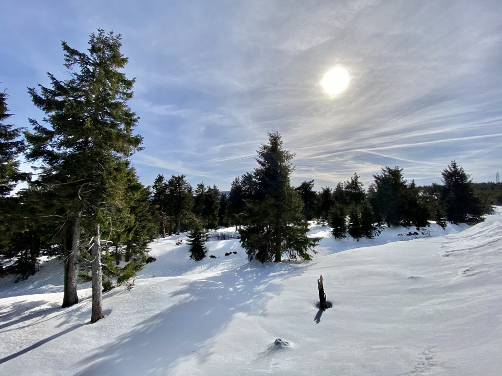 Landschaft zwischen (großem) und Kleinem Fichtelberg