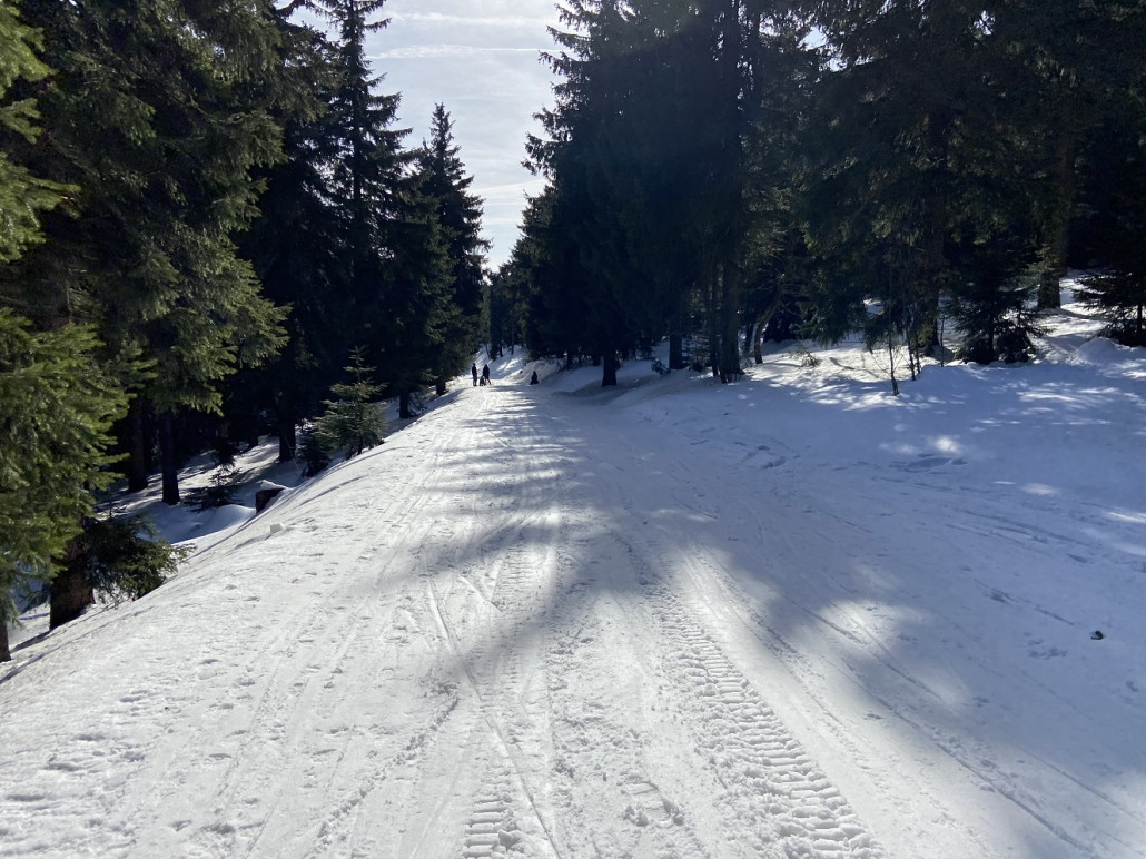 Ziehweg nach der Fichtelbergbaude in Richtung Haupthang mit Blick talswärts...