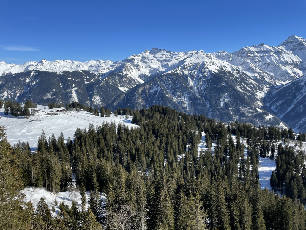 Blick aus der Kombibahn rüber zum Grotzenbüel.