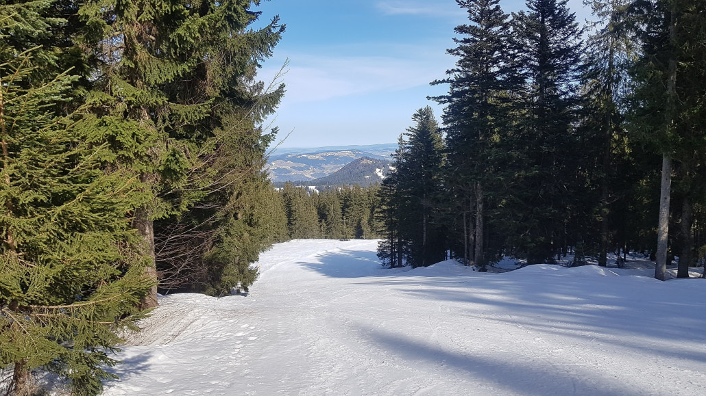 Oberer Teil der Weltcupabfahrt