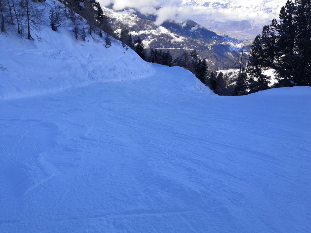 Schattige Waldpiste in Chandolin. Bin ich nur ein halbes Mal gefahren.